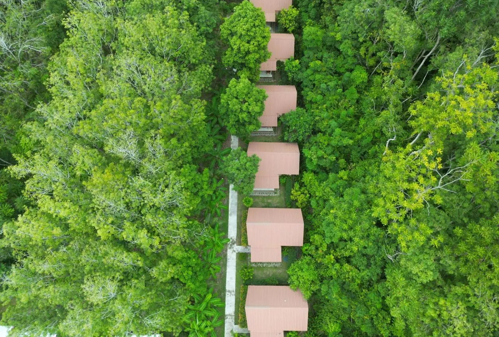 Zabit Bungalow Ko Lanta 0*,