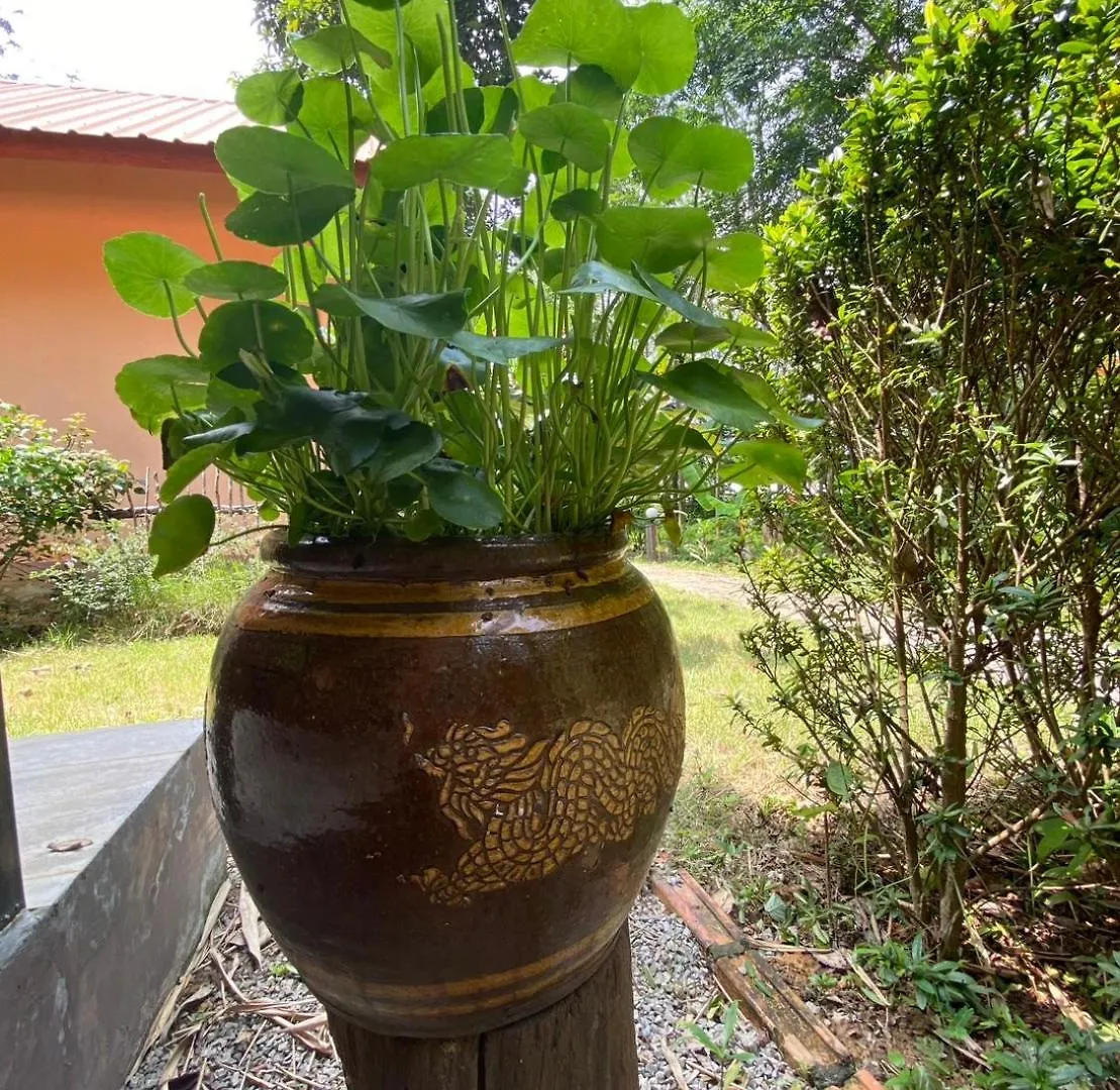 Affittacamere Zabit Bungalow Ko Lanta