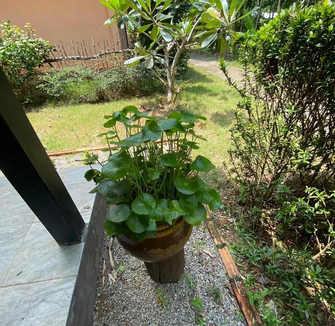 Zabit Bungalow Ko Lanta Affittacamere
